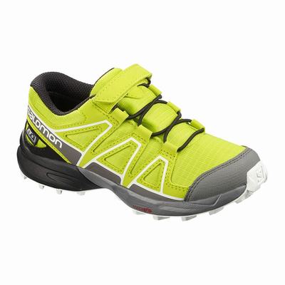 Salomon SPEEDCROSS CLIMASALOMON™ WATERPROOF - Lasten Polkujuoksukengät - Pinkki/Mustat